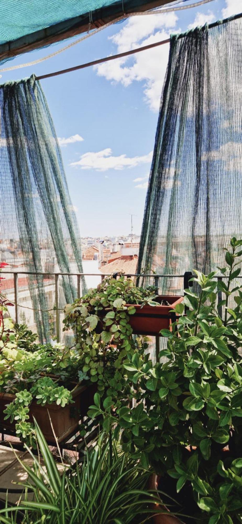 Casa De Huespedes Dolce Vita Madrid Eksteriør bilde